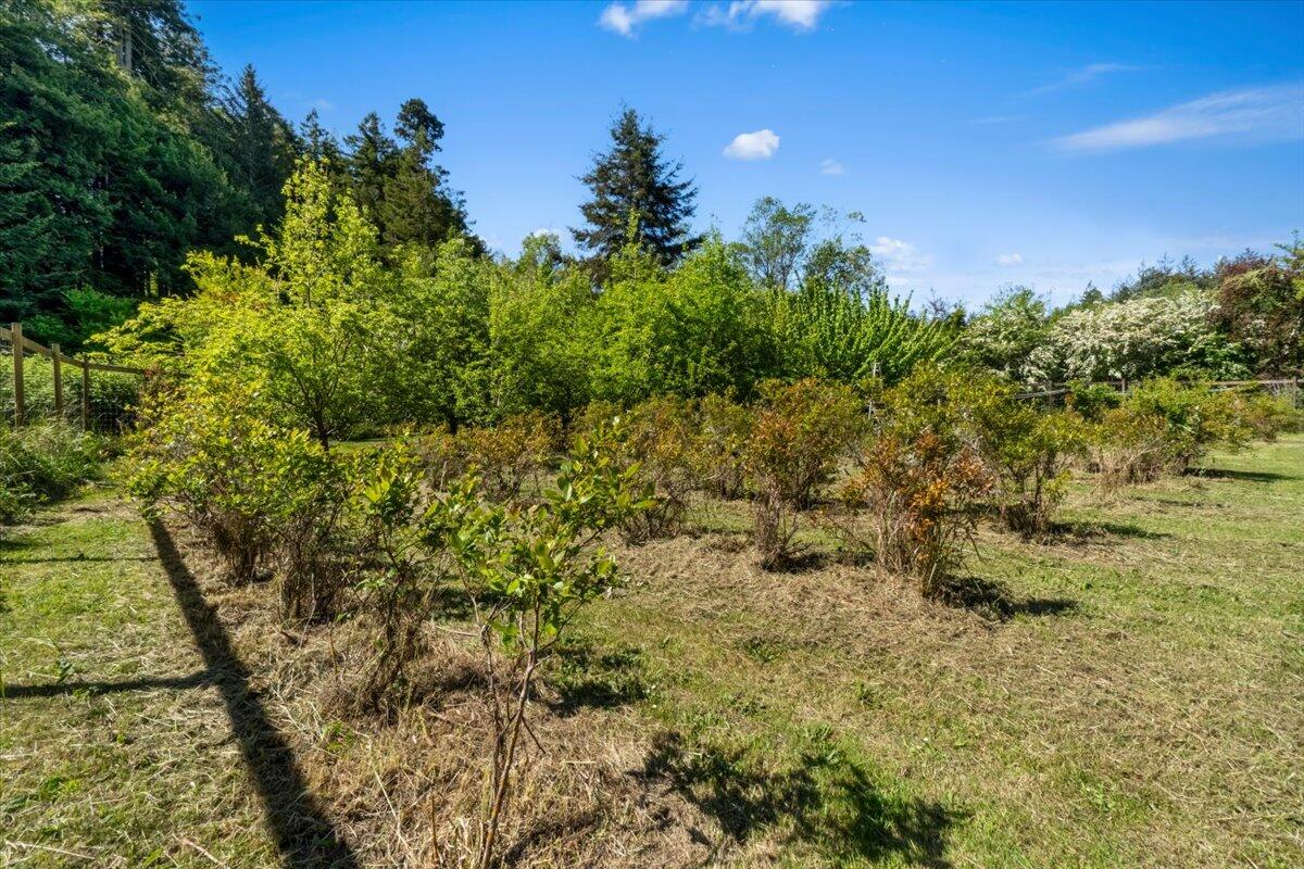 1960 Freshwater Road Eureka, CA 95503 - Photo 46 of 55