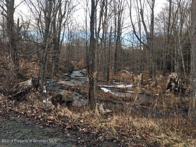 257 Mud Pond Road Thompson, PA 18465 - Photo 3 of 3 Large Wooded Parcel