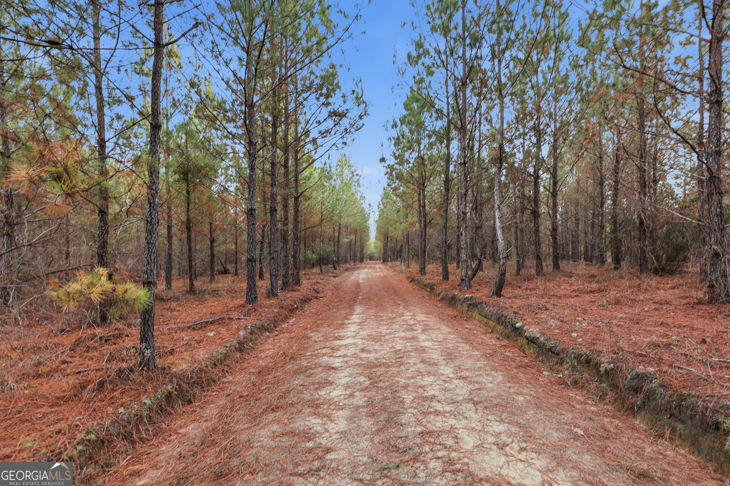 120 St Galilee Road Swainsboro, GA 30401 - Photo 63 of 70