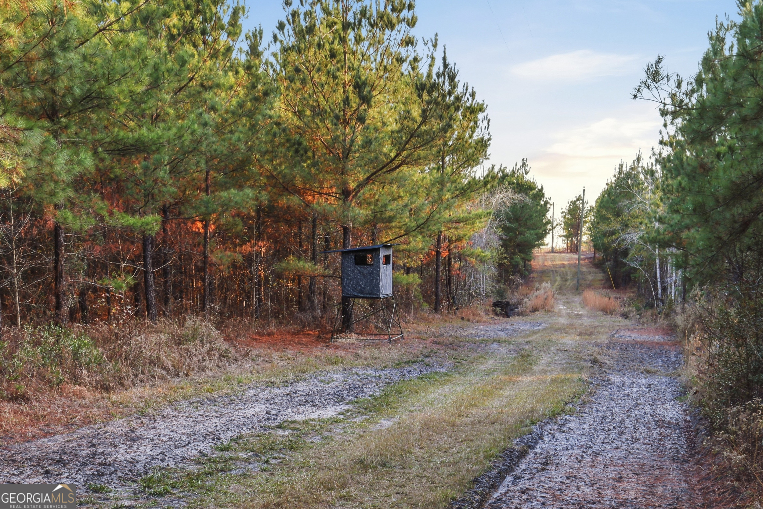 120 St Galilee Road Swainsboro, GA 30401 - Photo 65 of 70