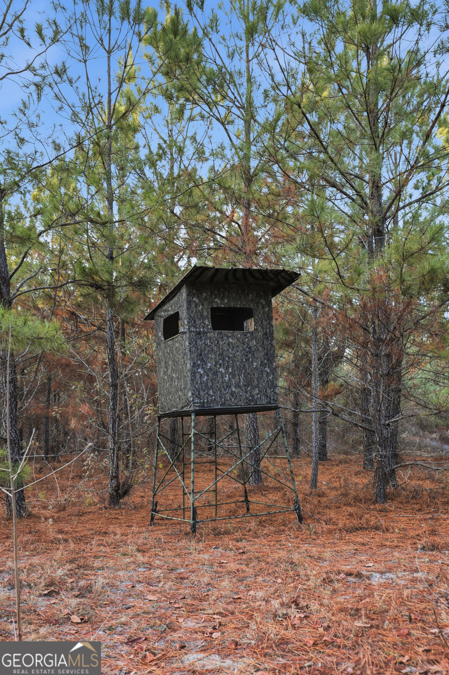 120 St Galilee Road Swainsboro, GA 30401 - Photo 66 of 70