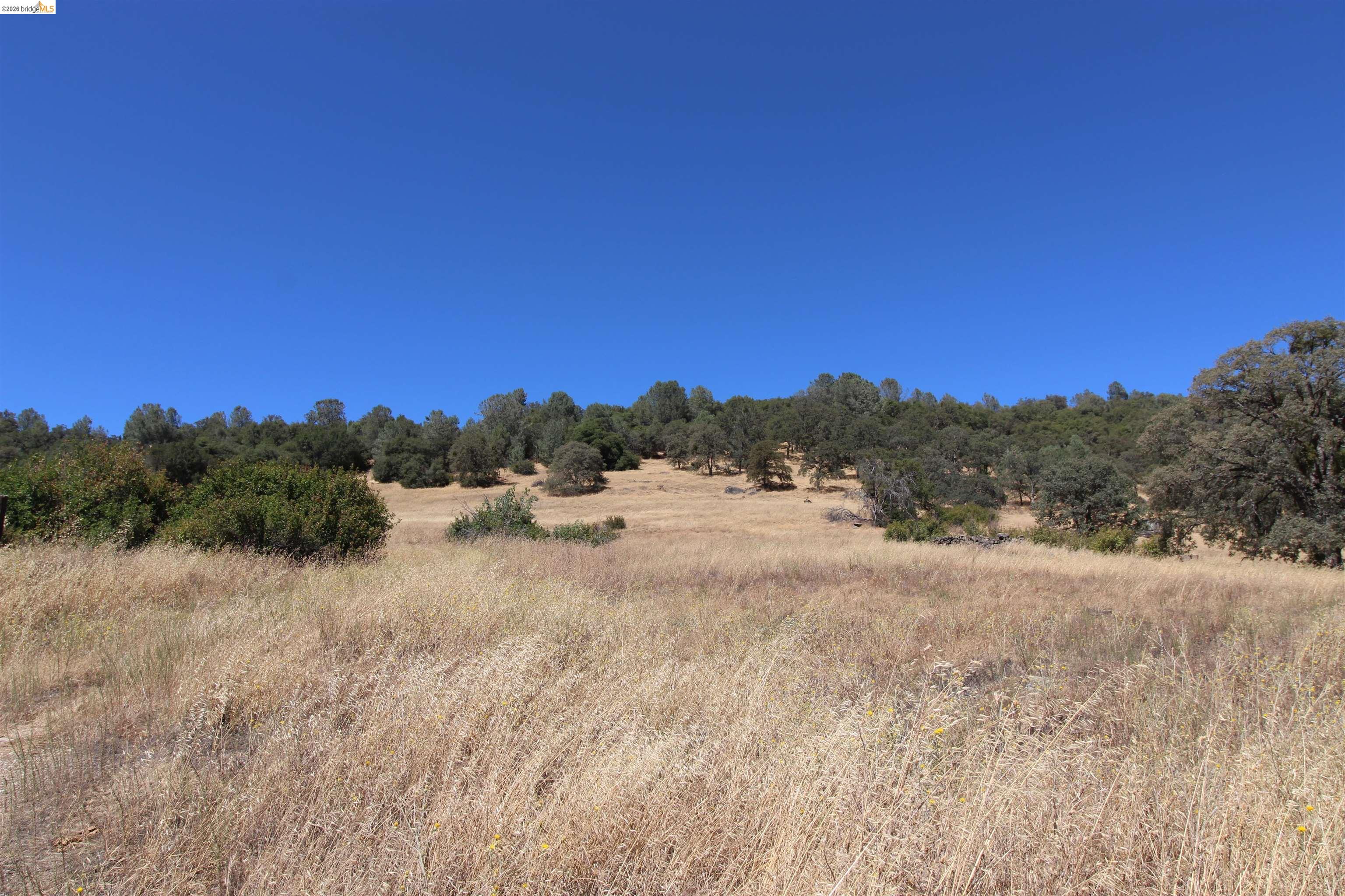 781 Gelding Road Angels Camp, CA 95222 - Photo 5 of 9 Gallery Image 5