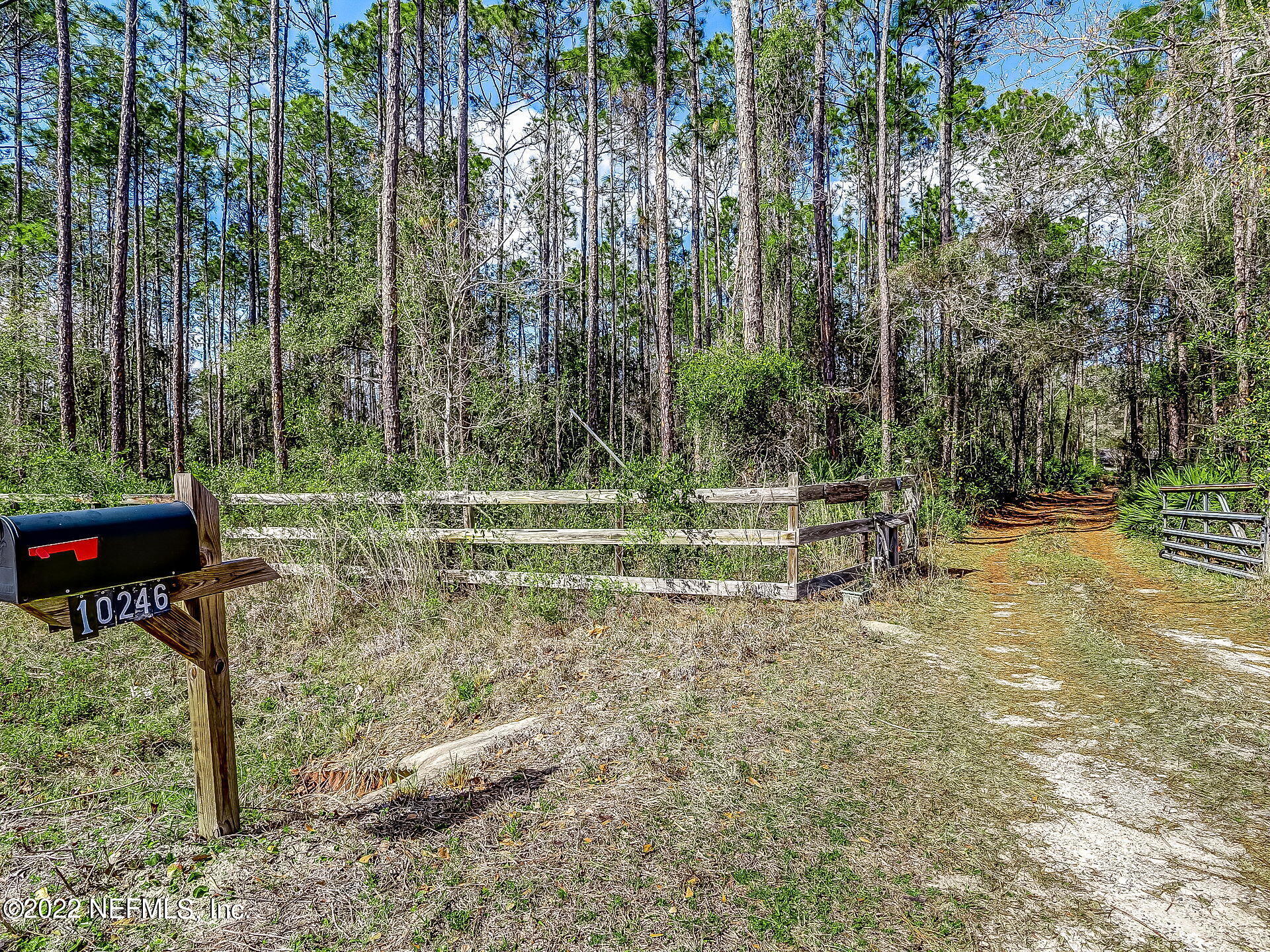 10246 Ford Road Bryceville, FL 32009 - Photo 11 of 33 32-web-or-mls-29_10246 Ford Rd