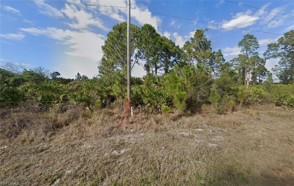 123 Pearson Street Lehigh Acres, FL 33974 - Photo 3 of 7 a view of a yard