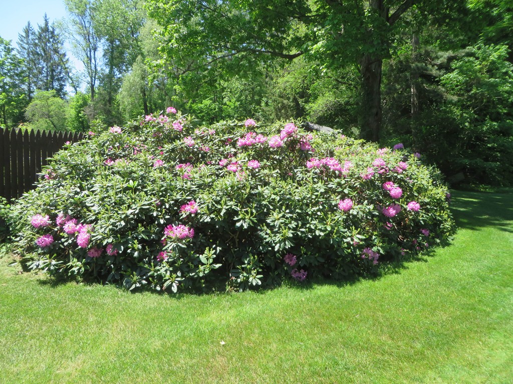 782 Colrain Road Greenfield, MA 01301 - Photo 29 of 30 Gallery Image 29