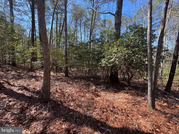 $5,500 | Lot 1897 Buccaneer Boulevard, Greenbackville, VA 23356
