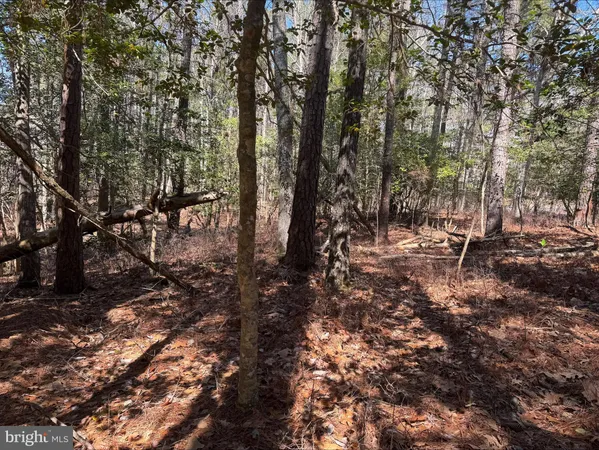 $5,500 | Lot 1897 Buccaneer Boulevard, Greenbackville, VA 23356