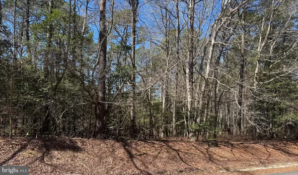 $5,500 | Lot 1897 Buccaneer Boulevard, Greenbackville, VA 23356