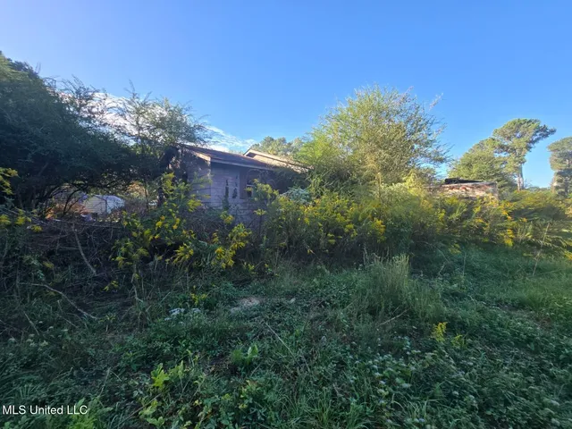 $19,900 | 30 Emmanuel Peyton Lane, Monticello, MS 39654