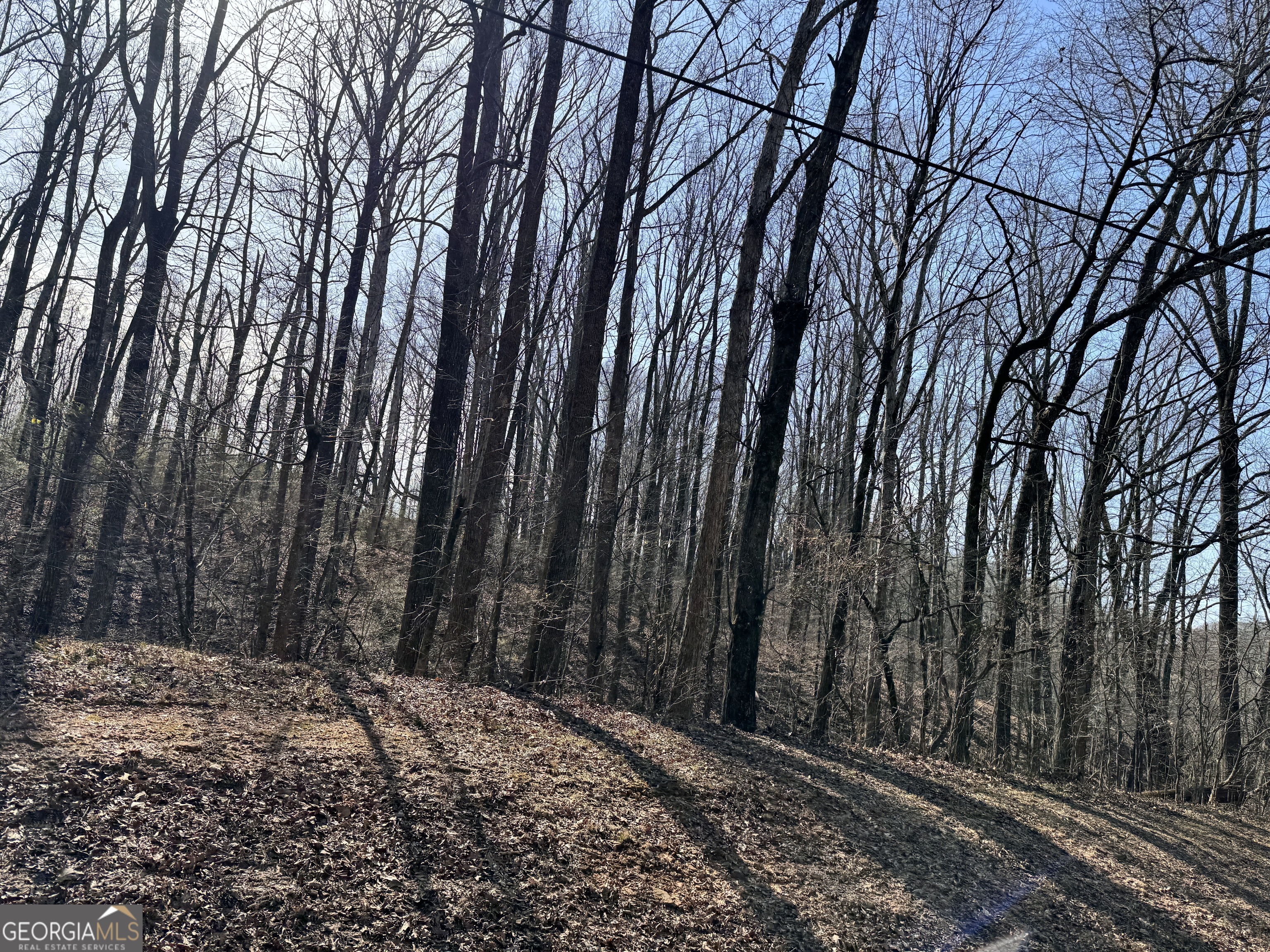 0 Wall Road Statham, GA 30666 - Photo 1 of 2