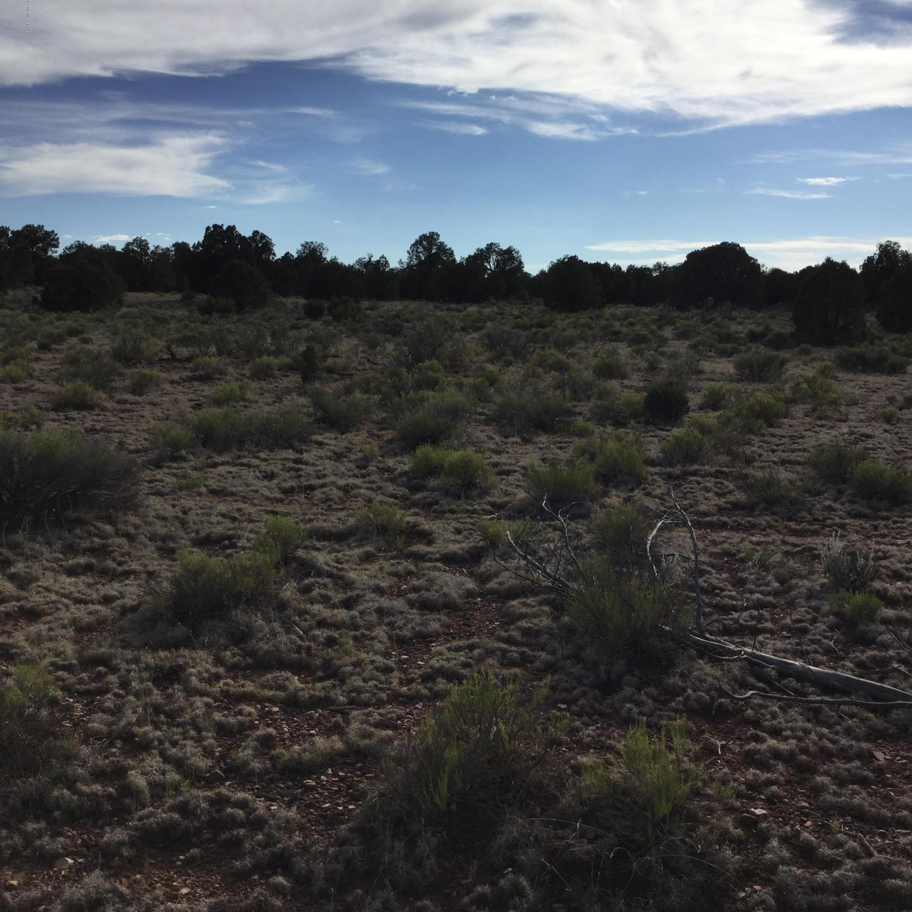2722 South Spruce Road Williams, AZ 86046 - Photo 3 of 4 image