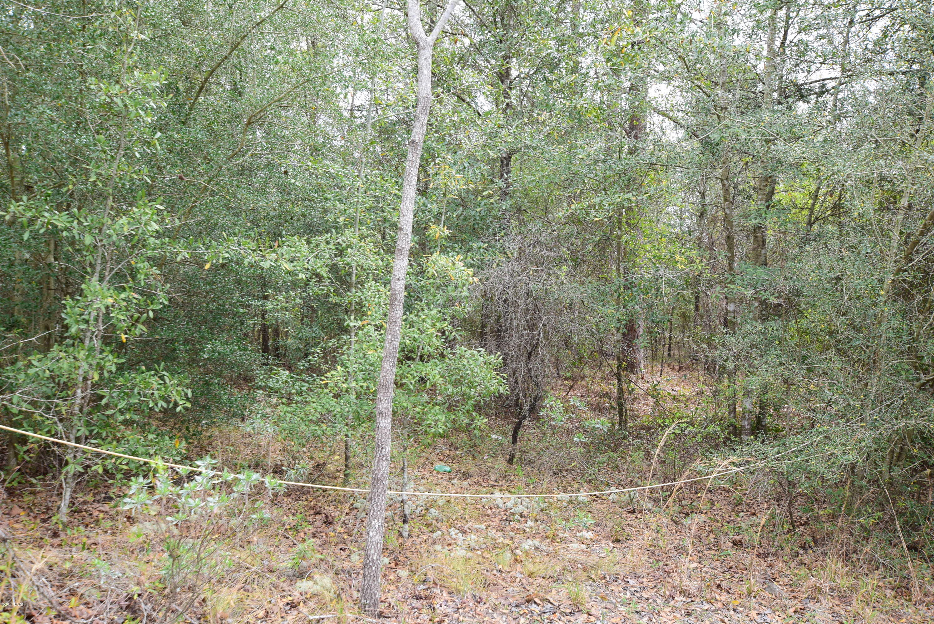 20938 Hightower Road Fountain, FL 32438 - Photo 9 of 29 Gallery Image 9