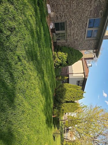 1819 Holly Avenue Darien, IL 60561 - Photo 10 of 10