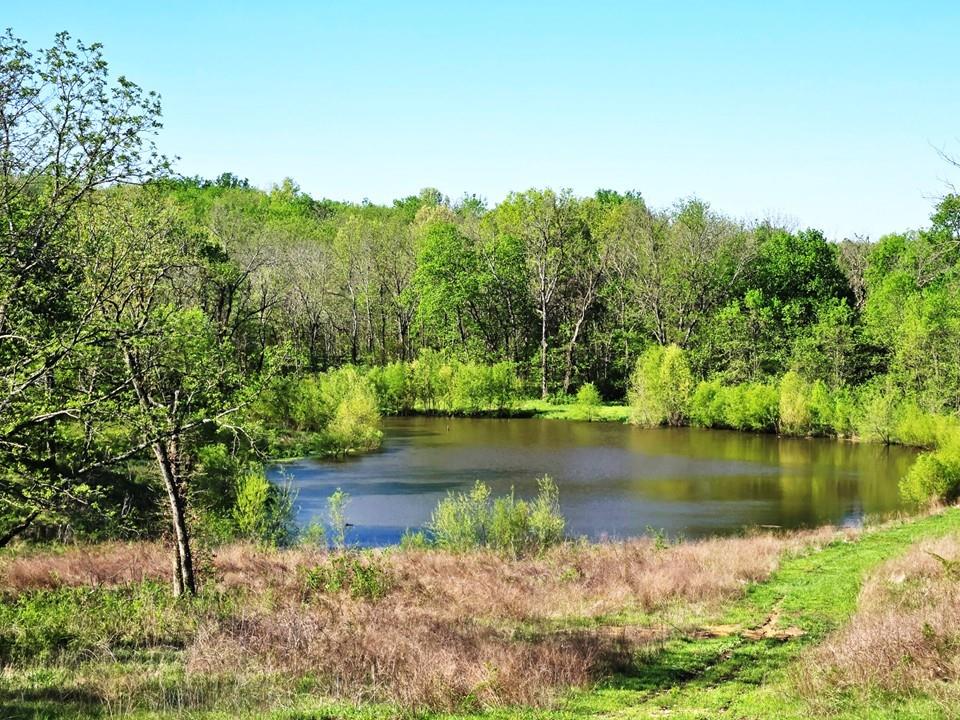 720 Southwest 800th Road Chilhowee, MO 64733 - Photo 1 of 1