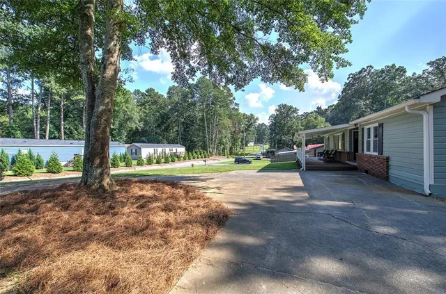 a view of a yard with plants and a trees