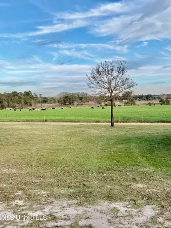 $375,000 | 2538 Timber Lane, Lucedale, MS 39452