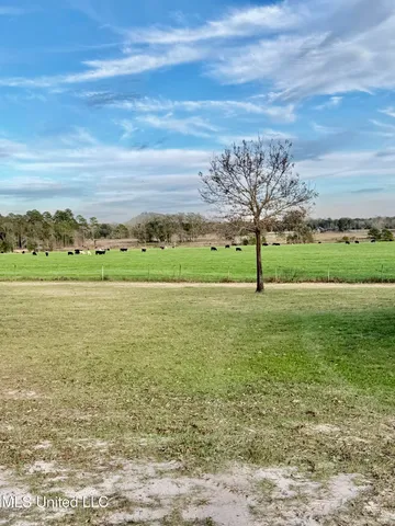 $375,000 | 2538 Timber Lane, Lucedale, MS 39452