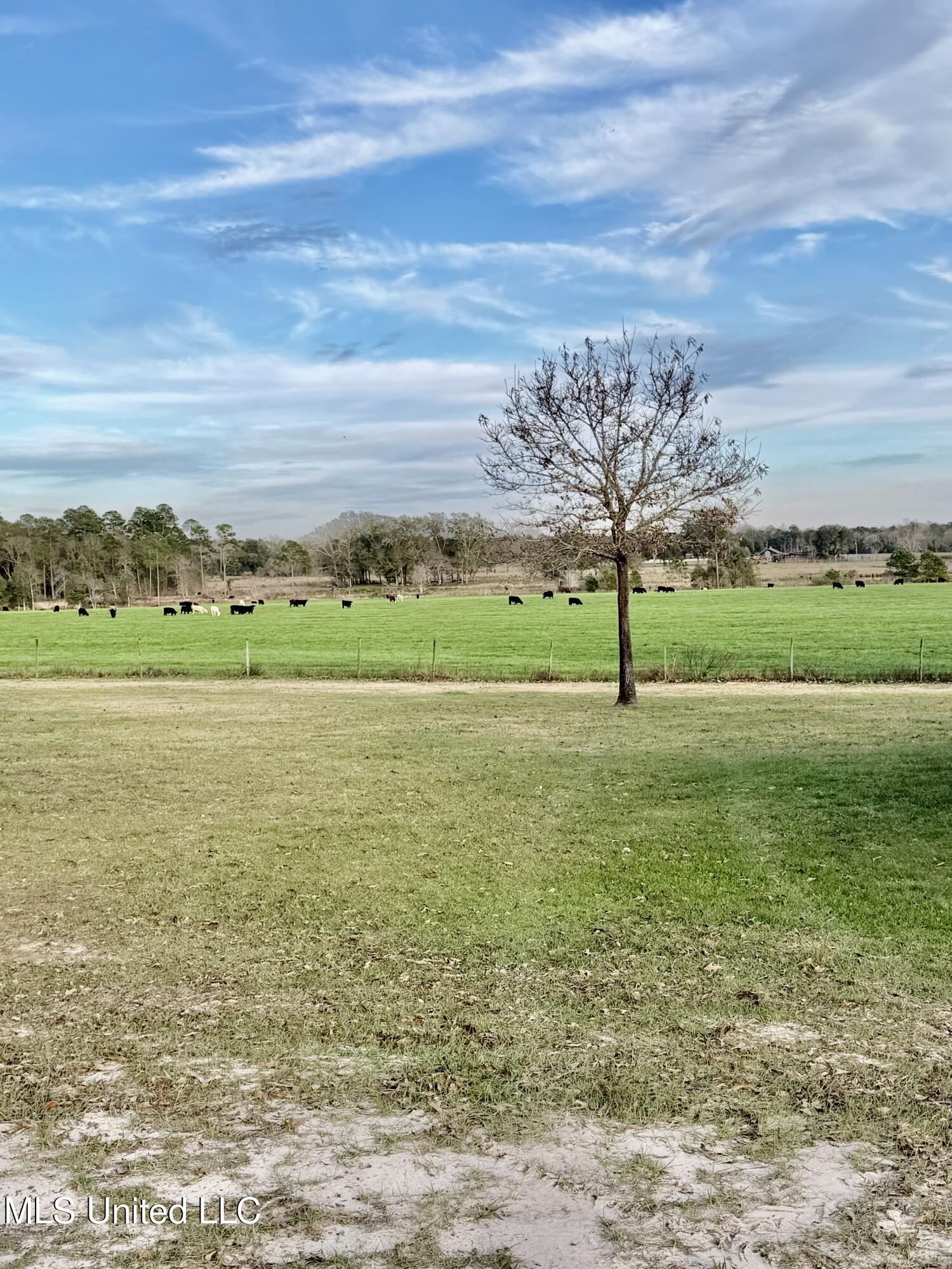 2538 Timber Lane Lucedale, MS 39452 - Photo 27 of 30 IMG_2900