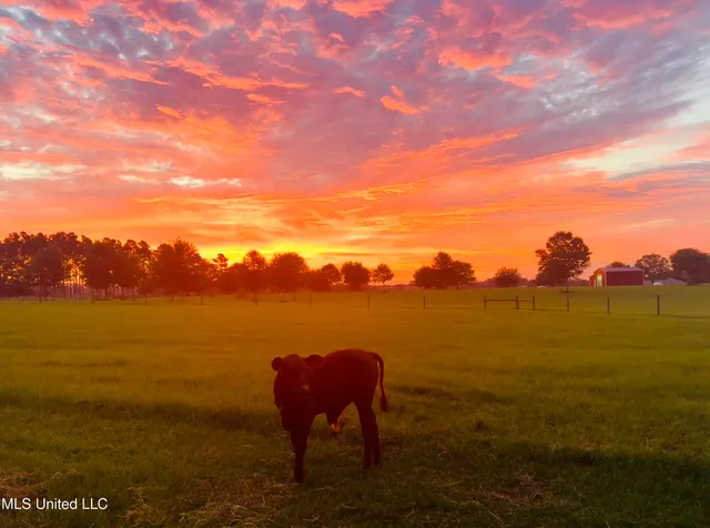 $375,000 | 2538 Timber Lane, Lucedale, MS 39452