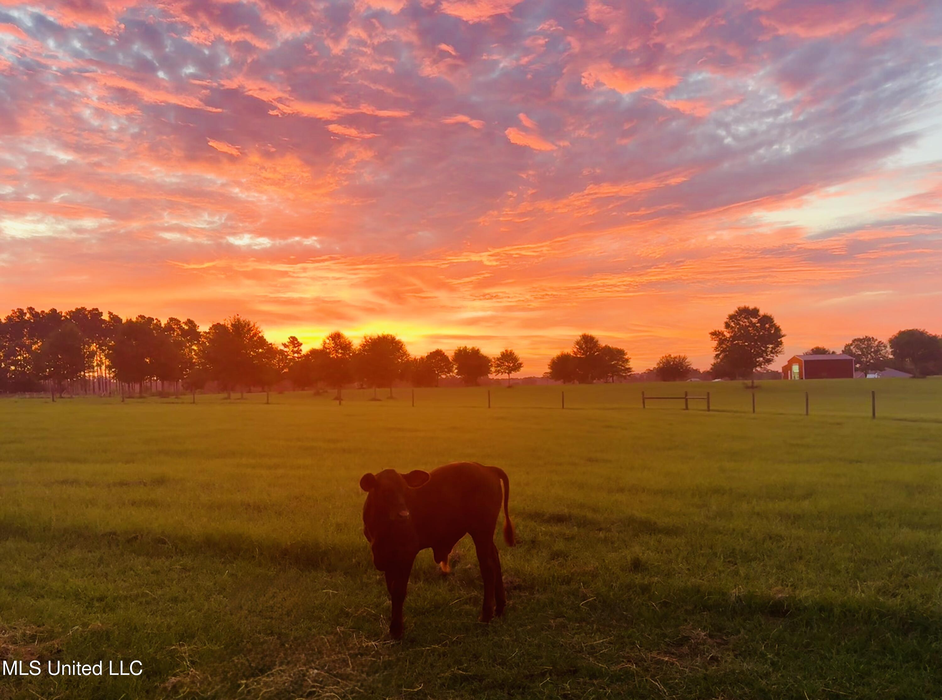 2538 Timber Lane Lucedale, MS 39452 - Photo 30 of 30 IMG_2298