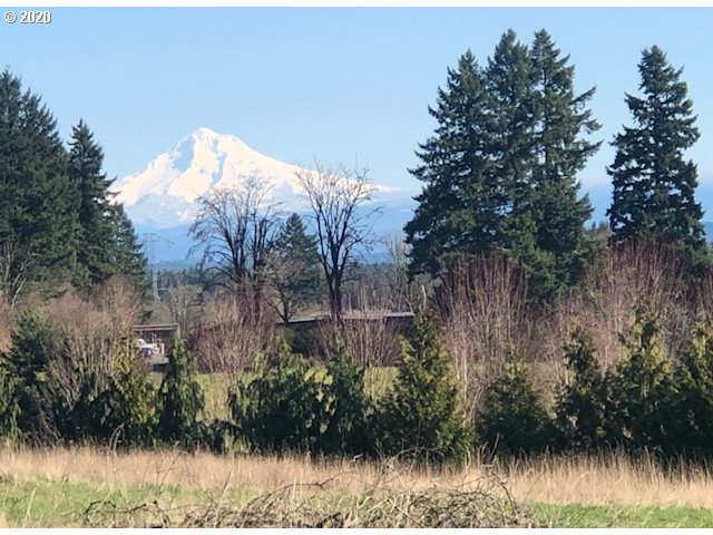 26400 Southwest Petes Mountain Road West Linn, OR 97068 - Photo 1 of 32 a view of a yard