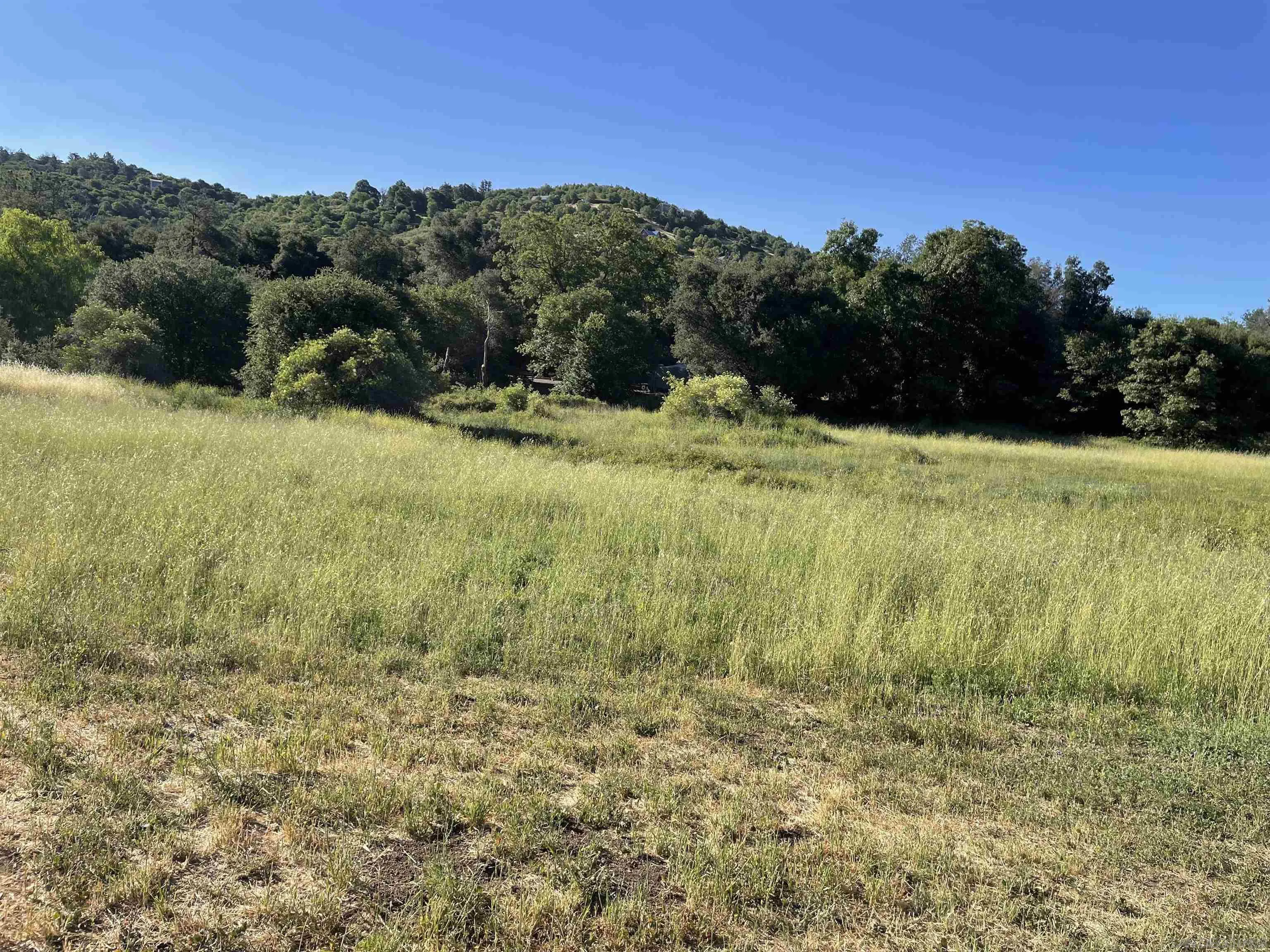 5750 Forest Meadow Road, Unit 1 Julian, CA 92036 - Photo 29 of 36 a view of a yard with an outdoor space