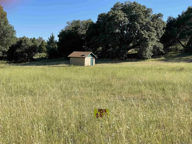 a view of a field with a trees in the background