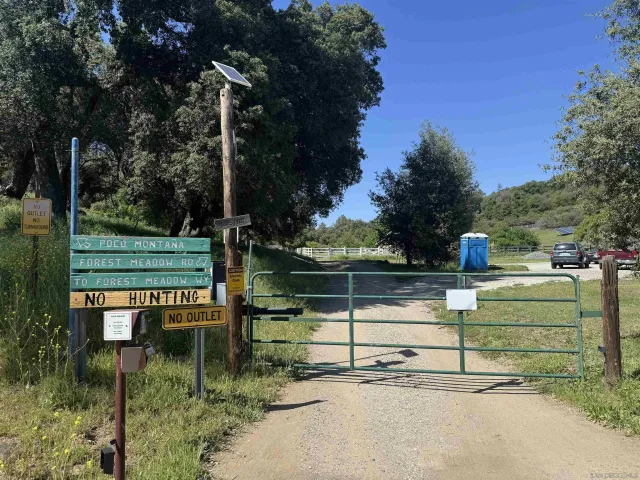 a view of a park with large trees