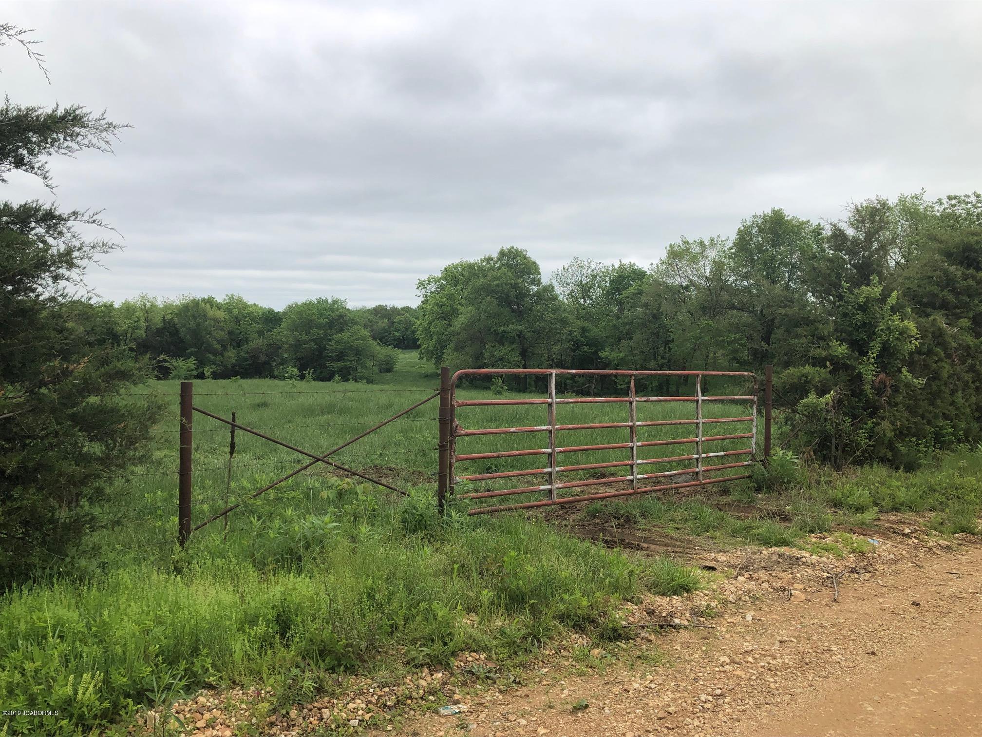 Tbd Union Ford Road California, MO 65018 - Photo 4 of 13