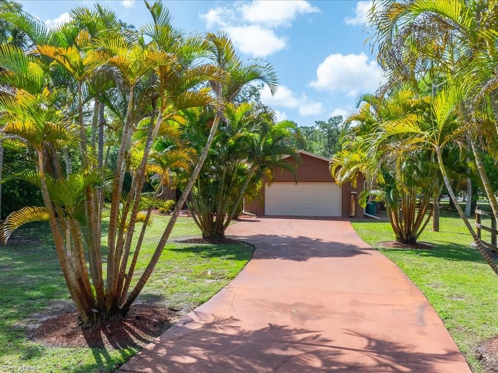 3890 27th Avenue Southwest Naples, FL 34117 - Photo 1 of 38 a view of a yard with plants and a large tree