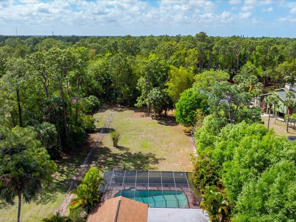3890 27th Avenue Southwest Naples, FL 34117 - Photo 32 of 38 a view of a backyard