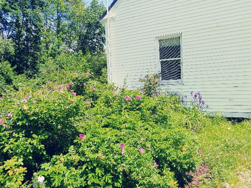 22 River Road Phillips, ME 04966 - Photo 34 of 36 20190703_132524_result