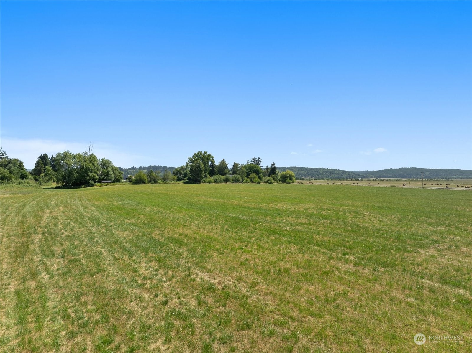 366 Twin Oaks Road Chehalis, WA 98532 - Photo 36 of 40 a view of a lake with houses in the background