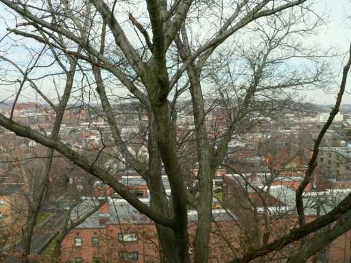104 Maple Heights Road Pittsburgh, PA 15232 - Photo 7 of 7 Other.