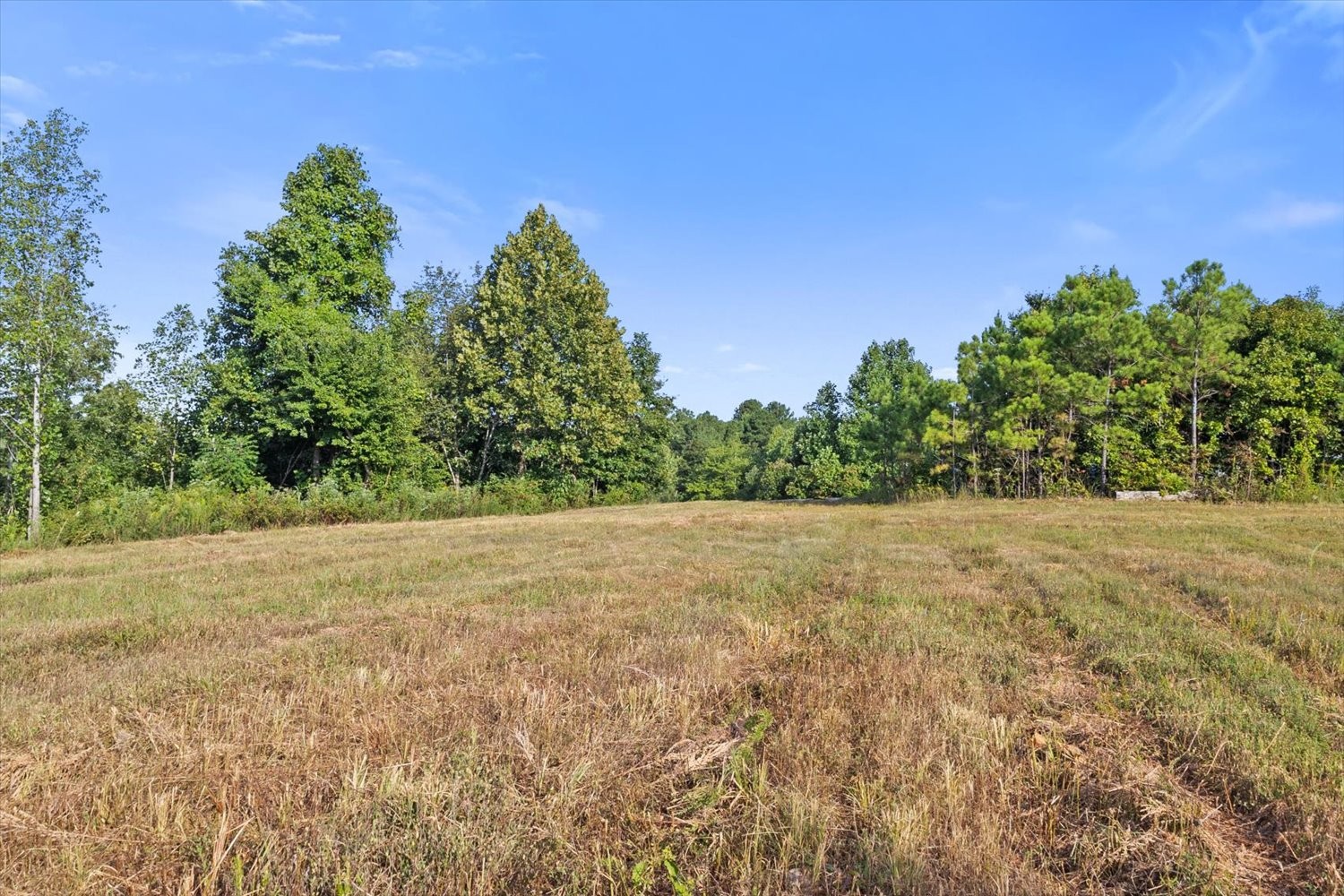 0 Kro Hollow Road Hohenwald, TN 38462 - Photo 25 of 35 Gallery Image 25