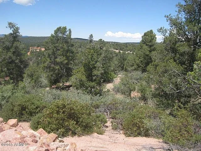 a view of a large yard with mountains in the background