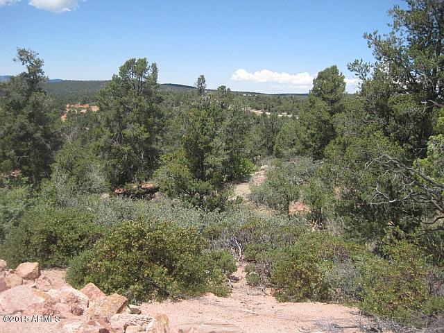 1003 West Falcon Lookout Lane, Unit 11 Payson, AZ 85541 - Photo 12 of 17 a view of a large yard with mountains in the background