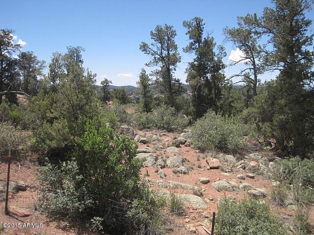 1003 West Falcon Lookout Lane, Unit 11 Payson, AZ 85541 - Photo 13 of 17 a view of a yard with trees in the background