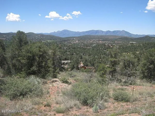 a view of a town with mountains in the background