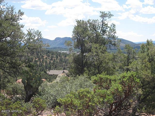 1003 West Falcon Lookout Lane, Unit 11 Payson, AZ 85541 - Photo 5 of 17 a view of a city with lush green forest