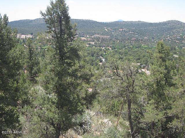 1003 West Falcon Lookout Lane, Unit 11 Payson, AZ 85541 - Photo 10 of 17 a view of a mountain in the distance in a field