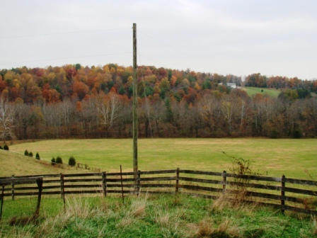 2170 Cooks Knob Road Ferrum, VA 24088 - Photo 11 of 17 Pasture Land