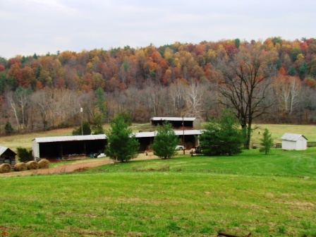 2170 Cooks Knob Road Ferrum, VA 24088 - Photo 3 of 17 Hay Shed