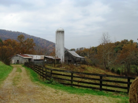 2170 Cooks Knob Road Ferrum, VA 24088 - Photo 4 of 17 Barn & Silo
