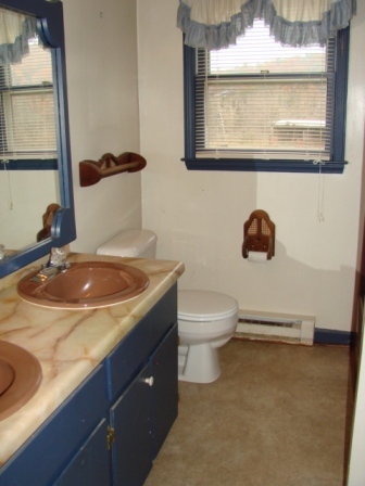 2170 Cooks Knob Road Ferrum, VA 24088 - Photo 8 of 17 Full Bath (Main Lvl)