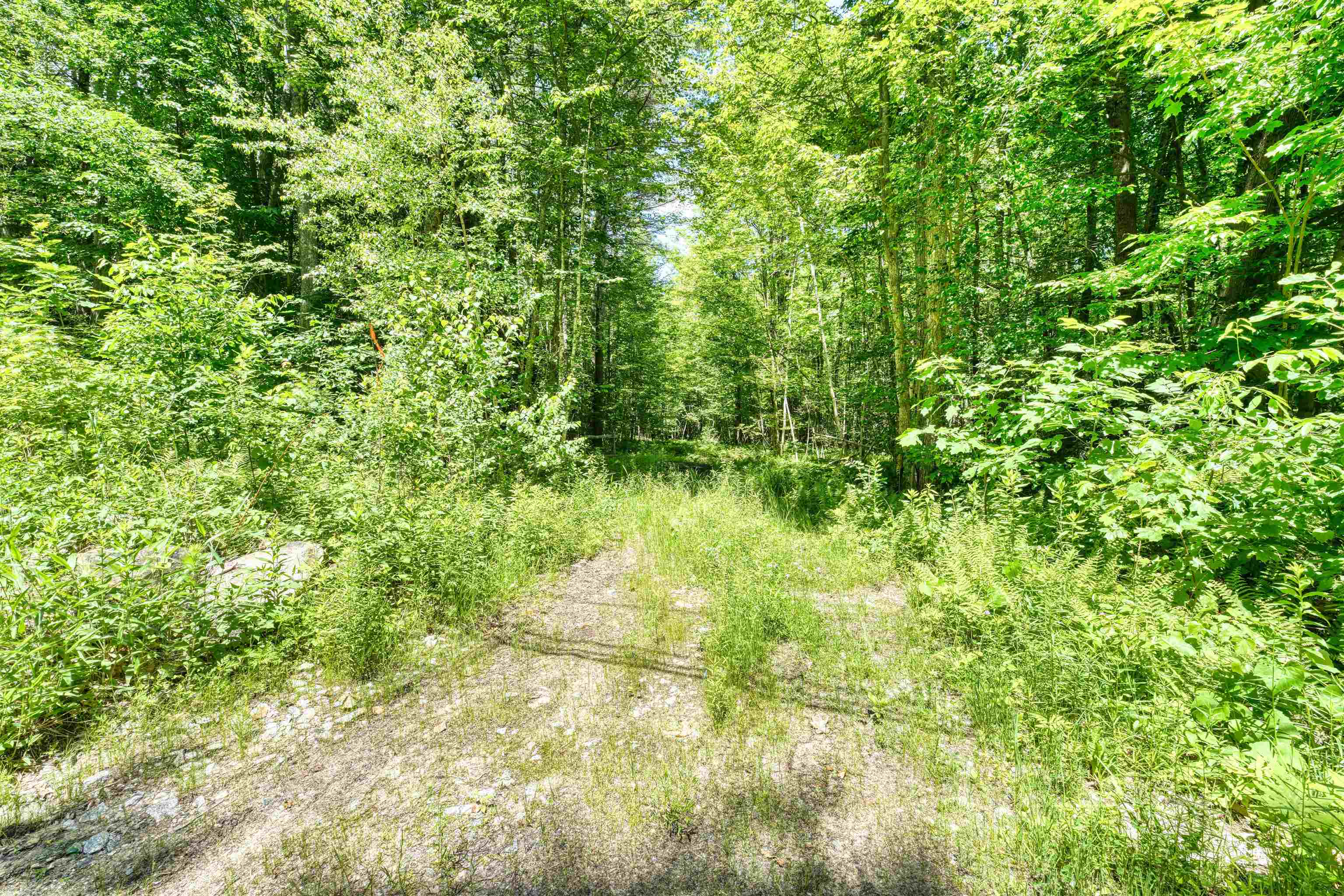54-2 Old Turnpike Road Salisbury, NH 03268 - Photo 5 of 13