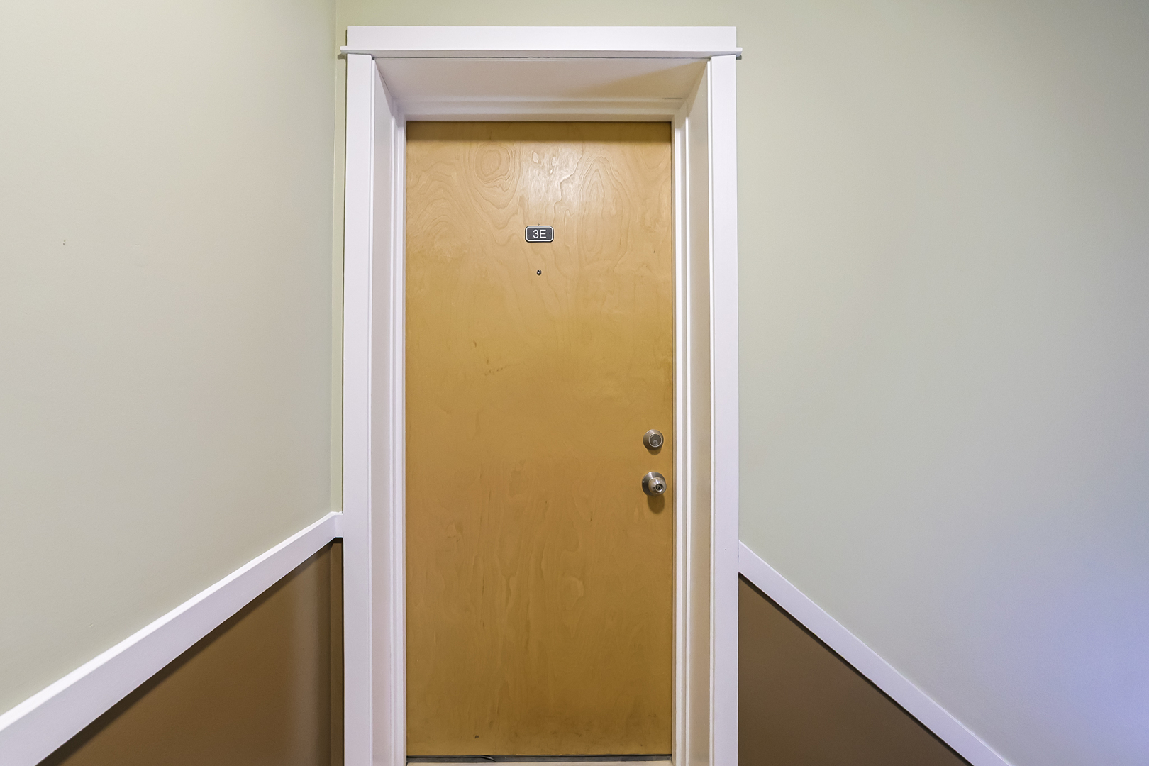 149 Callan Avenue, Unit 3E Evanston, IL 60202 - Photo 4 of 20