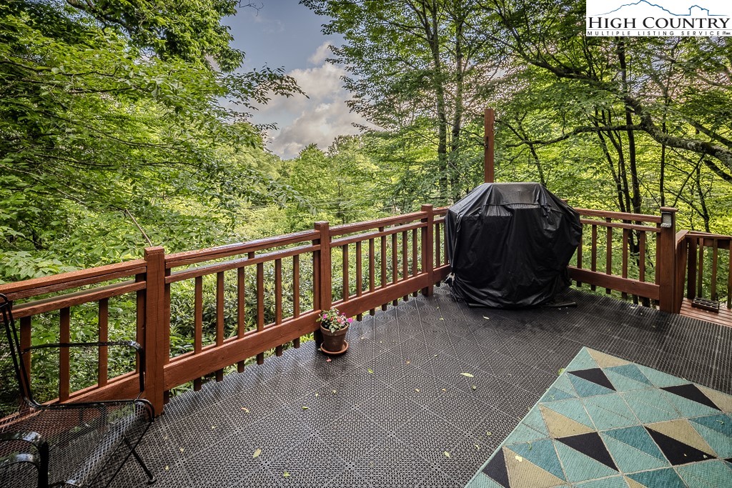 910 Charter Hills Road Beech Mountain, NC 28604 - Photo 8 of 39 Gallery Image 8
