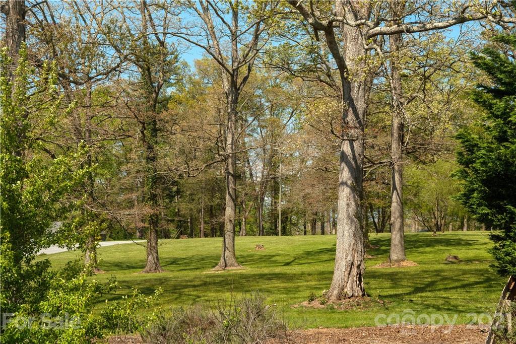 312 Black River Road Fletcher, NC 28732 - Photo 27 of 29 a view of a yard with trees