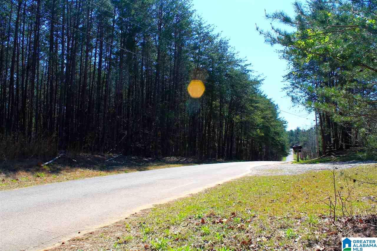 0 Alice Road McCalla, AL 35111 - Photo 2 of 9 Gallery Image 2